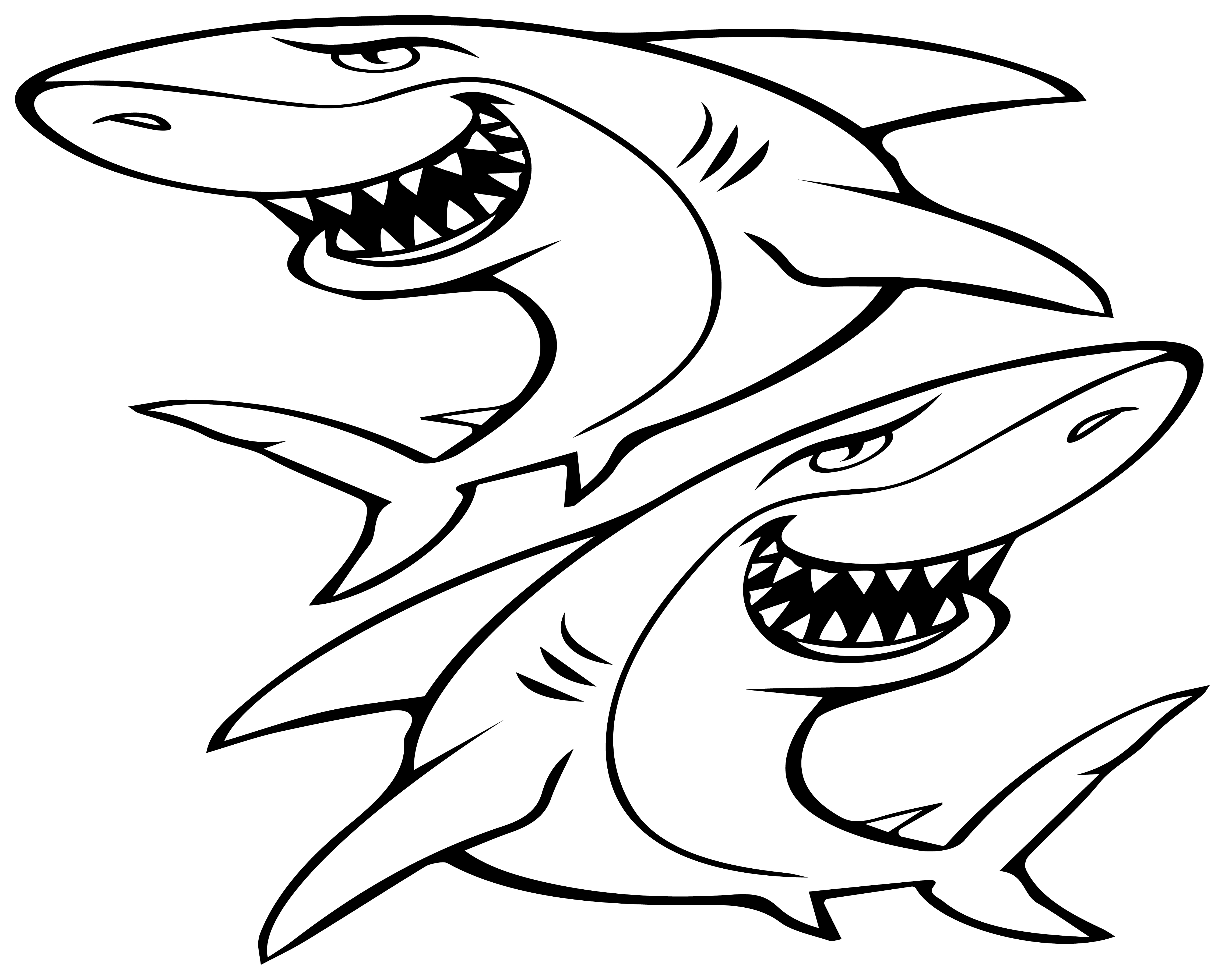 Aufkleber Shark Hai 60x50 cm für Auto KFZ Haifisch Sticker Wandtattoo