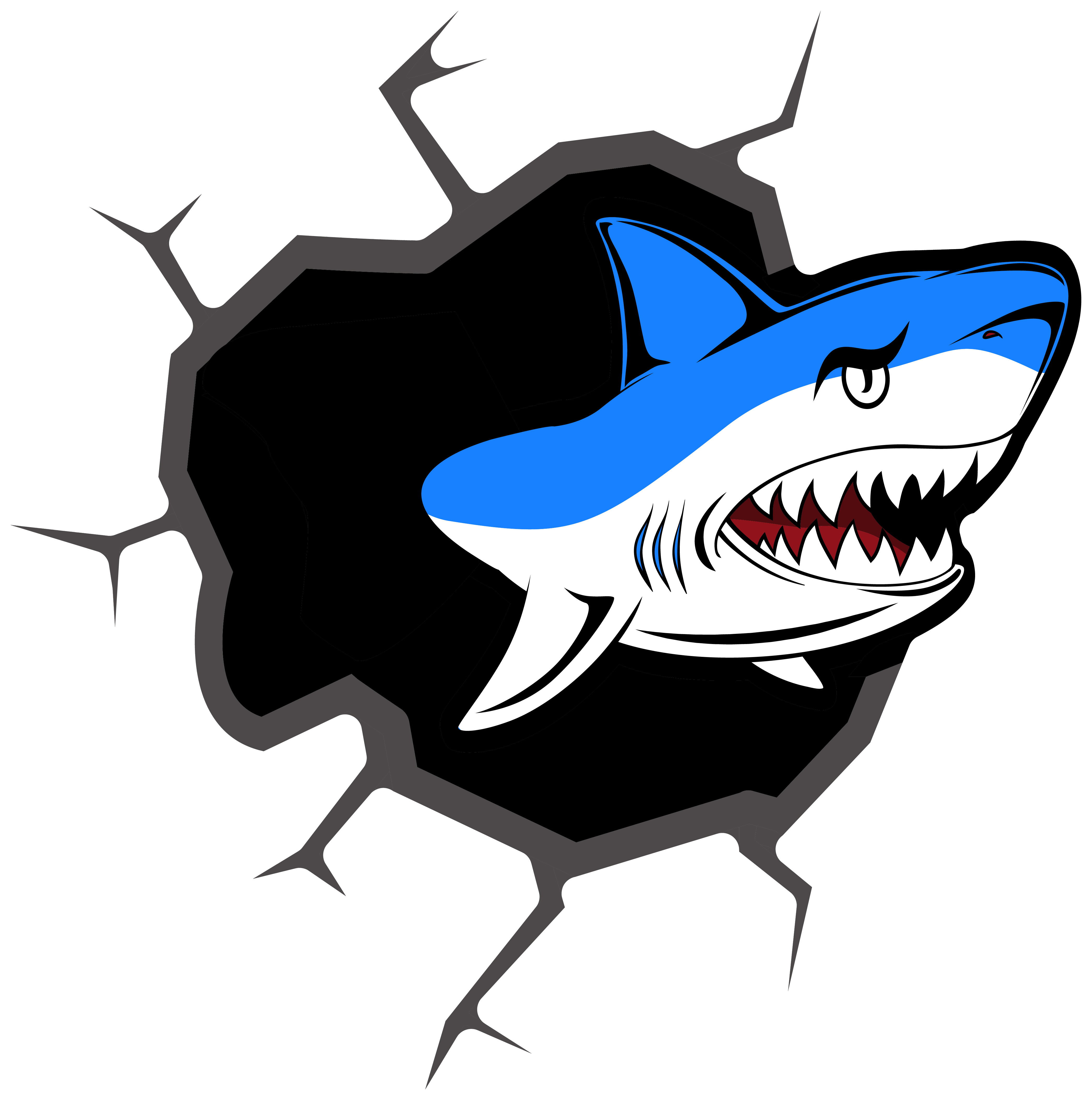 4x Aufkleber Shark Hai 5x5 cm für Auto KFZ Handy Laptop Haifisch Sticker