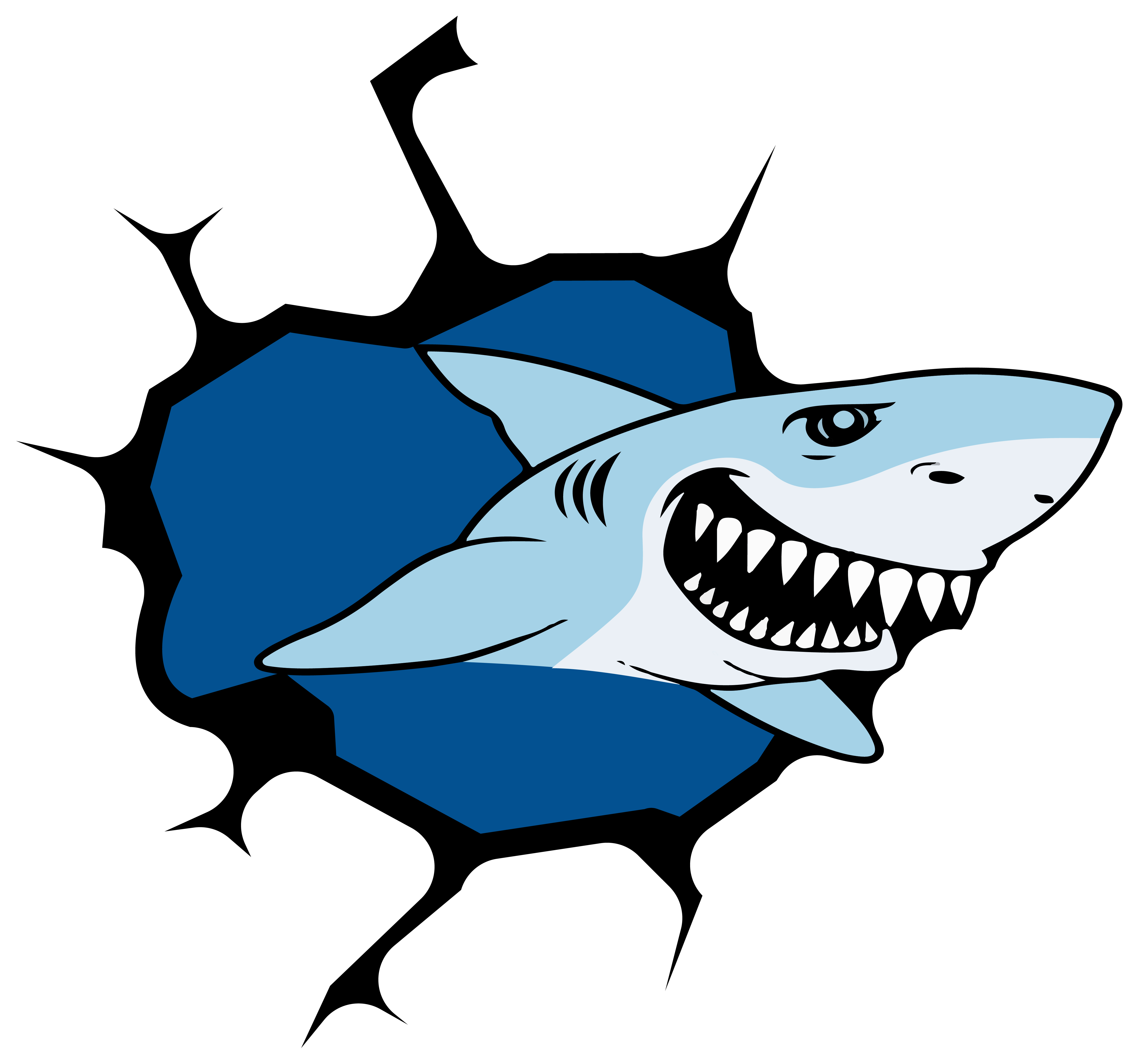 4x Aufkleber Shark Hai 6x6 cm für Auto KFZ Handy Laptop Haifisch Sticker
