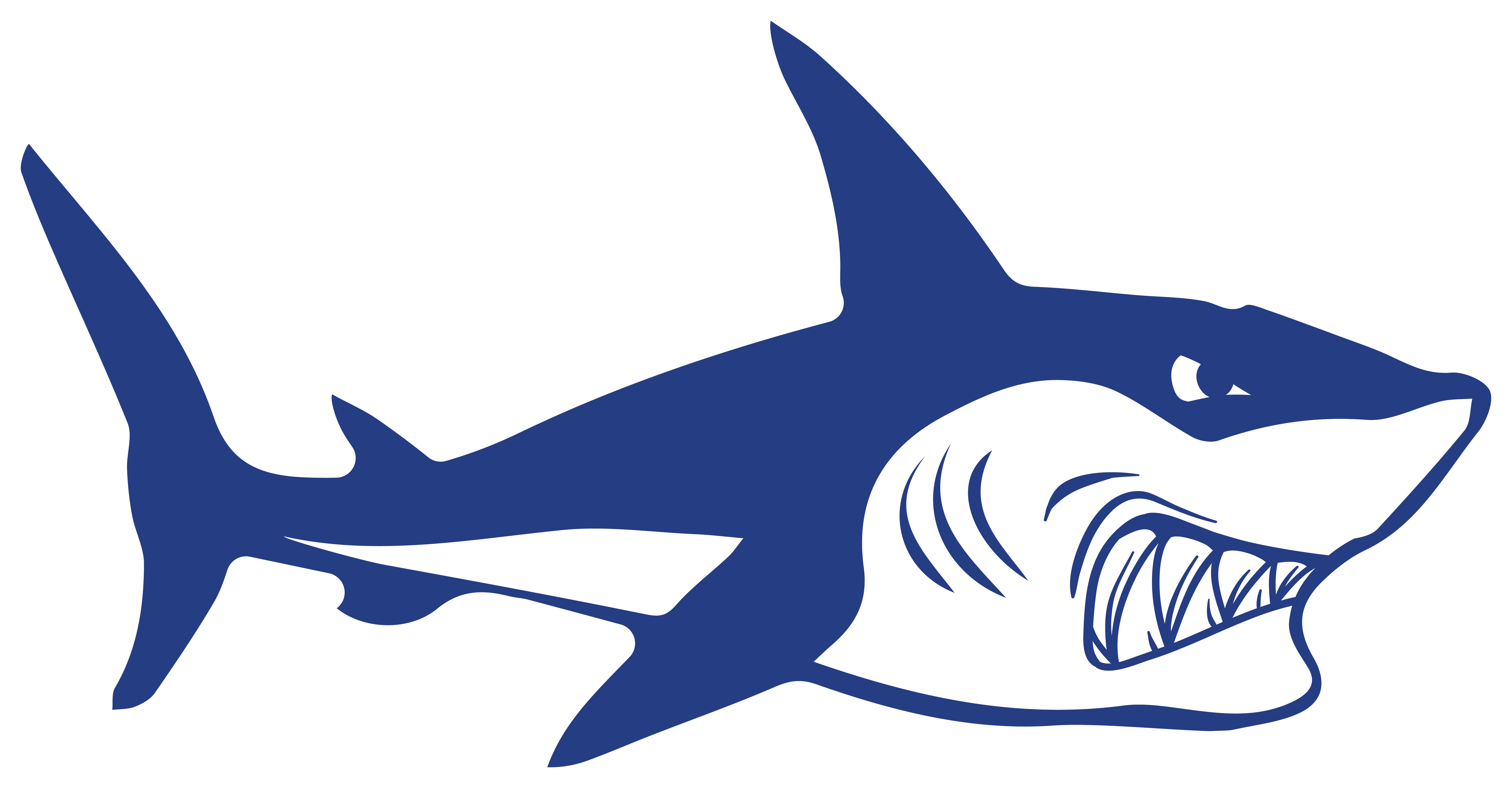 4x Aufkleber Shark Hai 6x4 cm für Auto KFZ Handy Laptop Haifisch Sticker